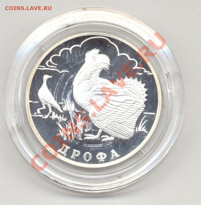 1 рубль СЕРЕБРО 2004г ДРОФА до 1 мая в 21.00 МСК - дрофа.JPG