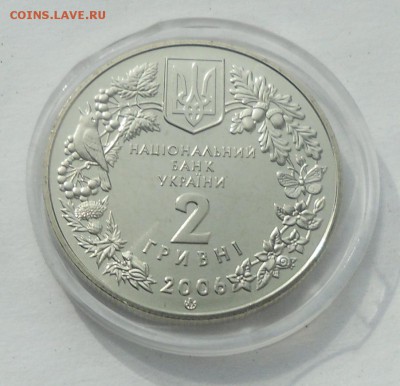 2 гр. 2006 г. "Пилкохвост украинский" - SAM_8702.JPG