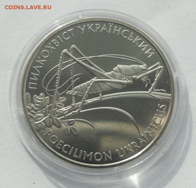2 гр. 2006 г. "Пилкохвост украинский" - SAM_8700.JPG