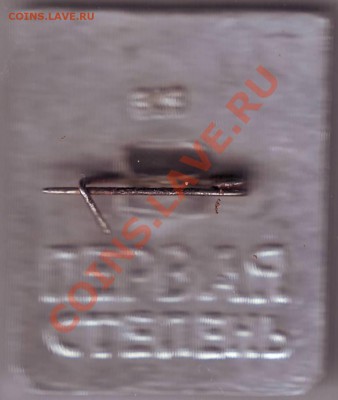 Знак "Готов к защите Родины" 1 степень до 04.05.11 до 19.00 - IMAGE0589.JPG