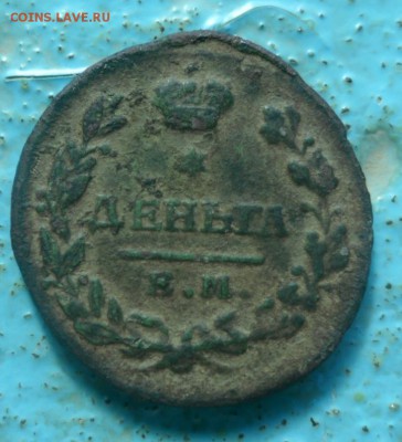 Денга 1812 опознание . - SAM_9937.JPG