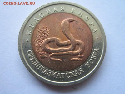КК 1992 КОБРА 10 руб. до 01.07.18 в 22:30 - IMG_1374.JPG