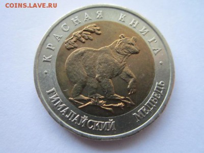 КК 1993 МЕДВЕДЬ 50 руб. до 01.07.18 в 22:30 - IMG_1380.JPG