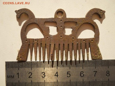 Гребень-Бородачёс - DSCN3662