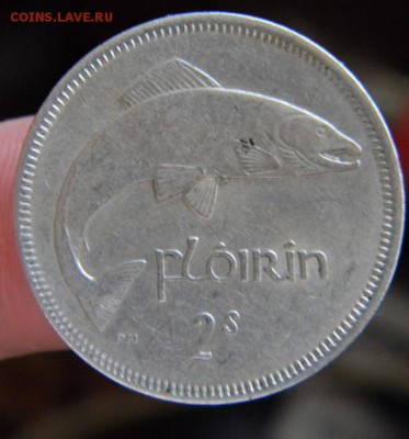 2 шиллинга Ирландия 1963 г. - DSCN7290.JPG