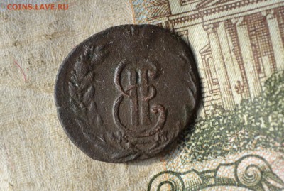 полушка 1773 км сибирь до 05.07.2018 - DSC_2402