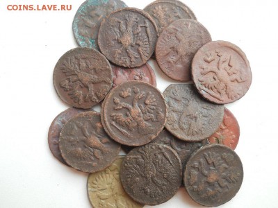 Деньга 1731-1751год (18шт) - DSCN3669