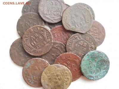 Деньга 1731-1751год (18шт) - DSCN3668