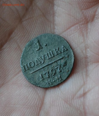 1 полушка 1797 км сибирь - DSC_2453