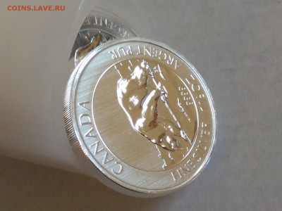 Канада.2013.$8.Белый Медведь.1,5oz 999 Серебро. ФИКС 2150₽ - IMG_20180702_195013