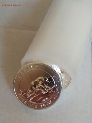 Канада.2013.$8.Белый Медведь.1,5oz 999 Серебро. ФИКС 2150₽ - IMG_20180702_195036