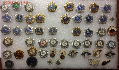 Знаки общества юные ссо до 09.07.18 в 22.00 по мск - AE20F21F-D826-4557-A8C8-05C1D800C5C0