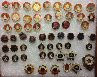 Знаки общества юные ссо до 09.07.18 в 22.00 по мск - 17309CB4-76E5-4836-8476-2D36C5D2B6D8