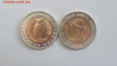 Красная книга 1991г.: Филин и Козел, до 10.07 - Филин+Козел-1