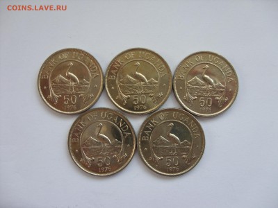 50 центов Уганда 1976 5 штук. Старт 150 рублей. - 50 центов Уганда 1976 5 штук - 1.JPG