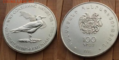 рона Шайба Армения 100 драм 1998 Армянская Чайка WWF фауна - krona_shajba_armenija_100_dram_1998_armjanskaja_chajka_pticy_wwf_fauna_fond_dikoj_prirody_sokhranim_prirod