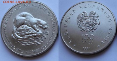 Крона Шайба Армения 100 драм 1997 Кавказская выдра WWF - krona_shajba_armenija_100_dram_1997_kavkazskaja_vydra_sokhranim_prirodu_fond_dikoj_prirody_fauna_wwf
