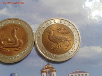 Красная книга 1992 года - 3 шт. - 2018-07-04 17.55.26