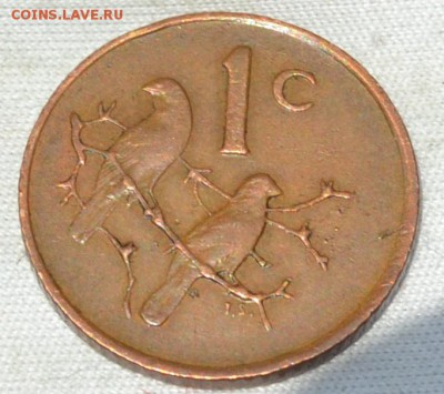 Южная Африка 1 цент 1969. 08. 07. 2018. в 22 - 00. - DSC_0507