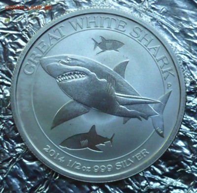 50 центов 2014 Австралия белая акула.08.07.2018 в 22:10 - P2270391.JPG