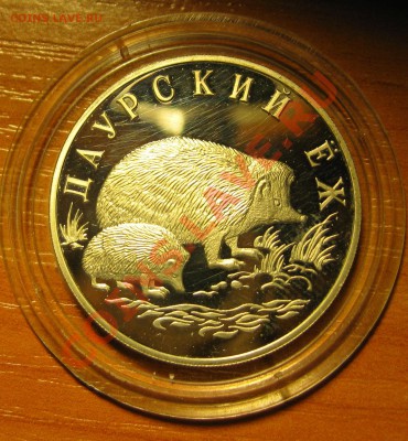 1 рубль 1999 год, Даурский ёж, СЕРЕБРО, С НОМИНАЛА, до 5.05 - даурский ёж.JPG