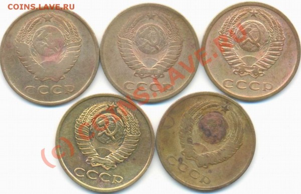 КОРЕГА для протезов - Копирование из Image-135