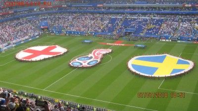 делает - прямо сейчас !!! - IMG_8782