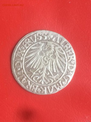 Пруссия, грош Альберта Гогенцоллерна 1546 - 5020772475_1