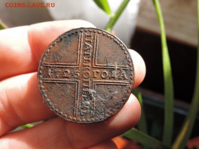 5 копеек 1725г. на оценку - DSCN6699