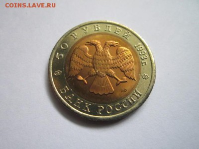 КК 1993 МЕДВЕДЬ 50 руб. АНЦ до 19.07.18 в 22:30 - IMG_1534.JPG
