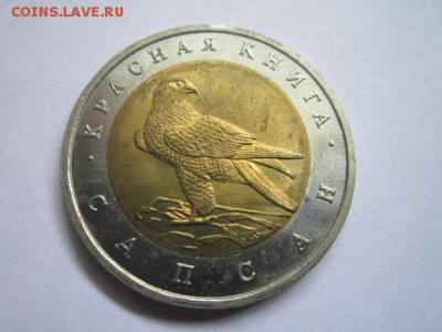 КК 1994 САПСАН 50 руб. АНЦ до 19.07.18 в 22:30 - IMG_1537.JPG