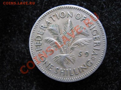 Британская Нигерия шиллинг 1959 до 05-05-11 22-00 - IMG_6075