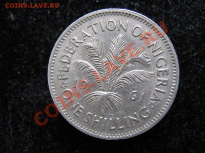 Британская Нигерия шиллинг 1961 до 05-05-11 22-00 - IMG_6077