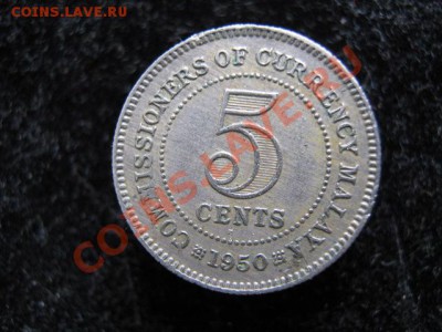 Британская Малайя 5 центов 1950 до 05-05-11 22-00 - IMG_6085