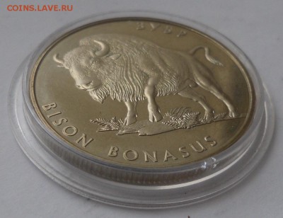 2 гривны 2003 г. "Зубр" - SAM_8801.JPG