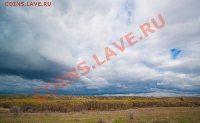 ФОТО - просто фото. Те что получились удачными. - IMG_4888