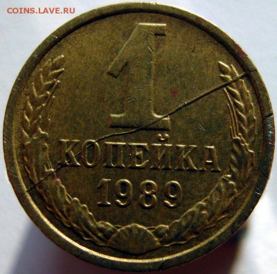 1 копейка 1989 раскол + засор? - IMG_7401.JPG