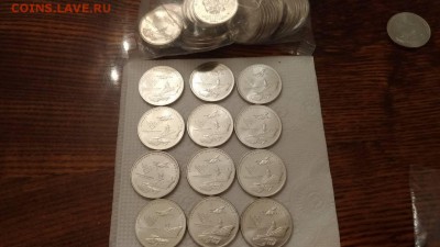 25 рублей 2018 Армейские международные игры ФИКС 950 - IMG-c0e3c44c1c48f89c689bf582257ca291-V