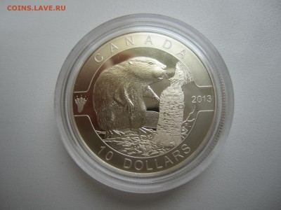 Канада,10 долл. 2013(бобёр) с 1900 ₽ до 22.07.18 22.00МСК - IMG_3206.JPG