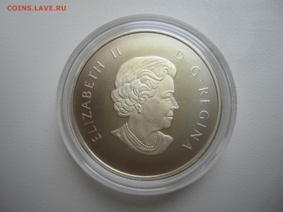 Канада,10 долл. 2013(бобёр) с 1900 ₽ до 22.07.18 22.00МСК - IMG_3203.JPG