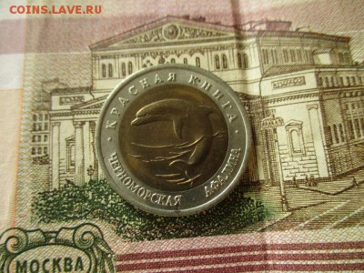 КК Черноморская Афалина, 50 р.1993 г. До 25.07.18. в 22:00 М - IMG_6708.JPG