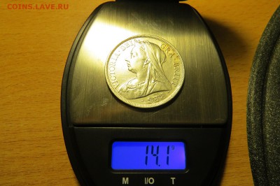 2 (пол) кроны Виктория  25.07.18 22.00 - IMG_0941.JPG