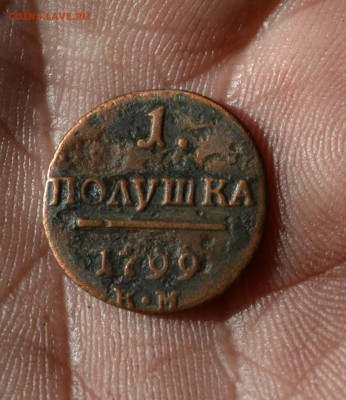 1 полушка 1799 км - DSC_2602
