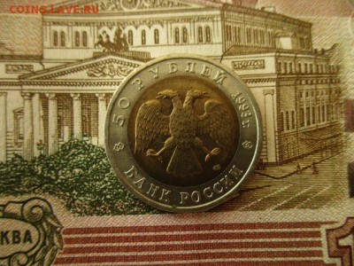 КК Дальневосточный Аист, 50 р.1993 г. До 26.07.18. в 22:00 М - IMG_6723.JPG