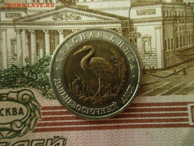 КК Дальневосточный Аист, 50 р.1993 г. До 26.07.18. в 22:00 М - IMG_6717.JPG