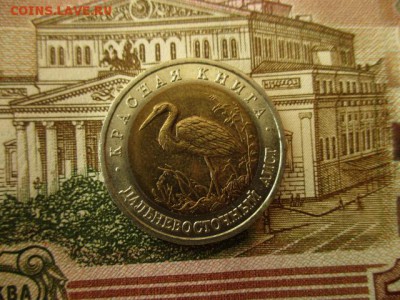 КК Дальневосточный Аист, 50 р.1993 г. До 26.07.18. в 22:00 М - IMG_6725.JPG