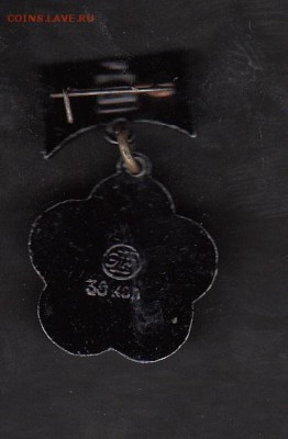 СССР значки  1985 фестиваль ( ЭТК) - 259а