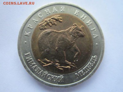 КК 1993 МЕДВЕДЬ 50 руб. АНЦ до 23.07.18 в 22:30 - IMG_1667.JPG