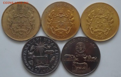 Тонга 2 паанги 1968, 75, 81 г.г. 5 шт. на оценку - DSC01667.JPG