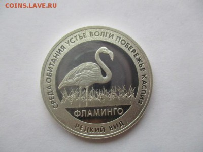 Фламинго. Красная книга. Жетон СПМД, серебро, 15,55 гр, 925 - IMG_7104.JPG